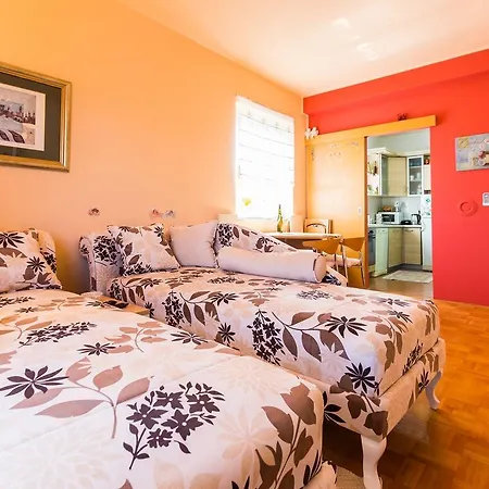 Mirela Apartament *
